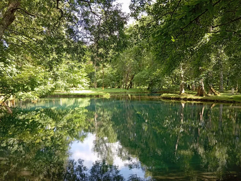 Lac entouré d'arbres