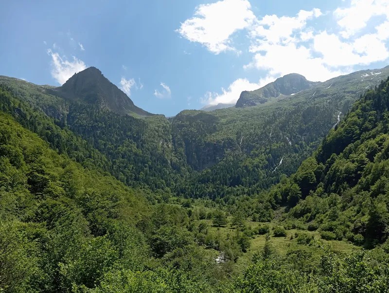 Montagnes verdoyantes